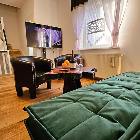 Apartament Haus Mit Garten Halle (Saale)