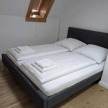 Haus Mit Garten Апартаменты Галль